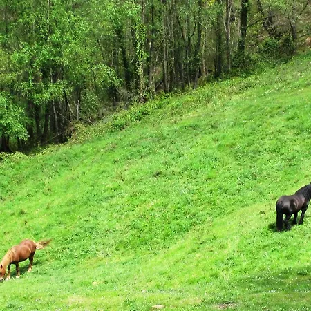 펜션 Casa La Escuela Tuilla