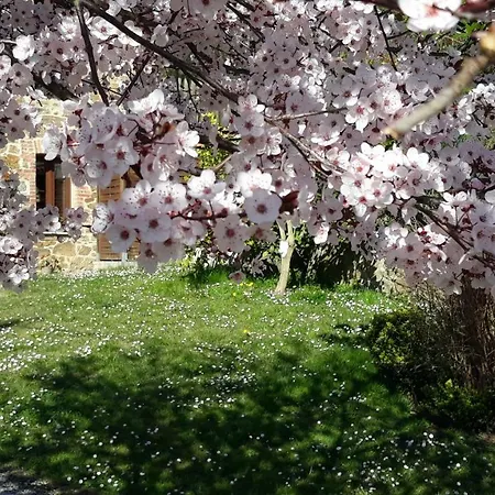 Casa La Escuela * Tuilla